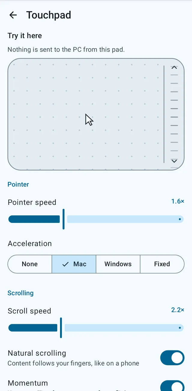 Touchpad settings with a pad to try them on.